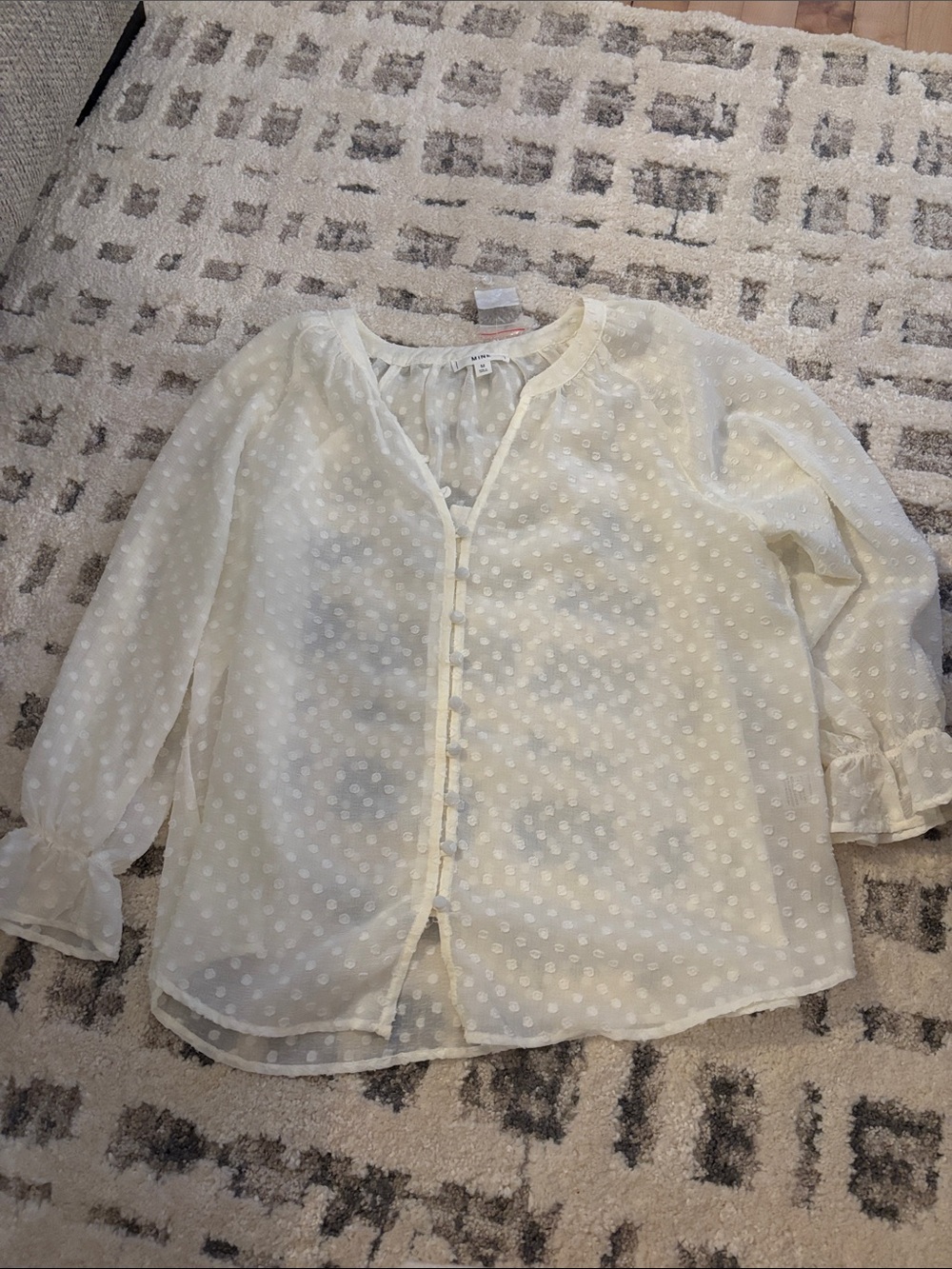 mine Sheer Ivory Swiss Dot Button-Front Blouse